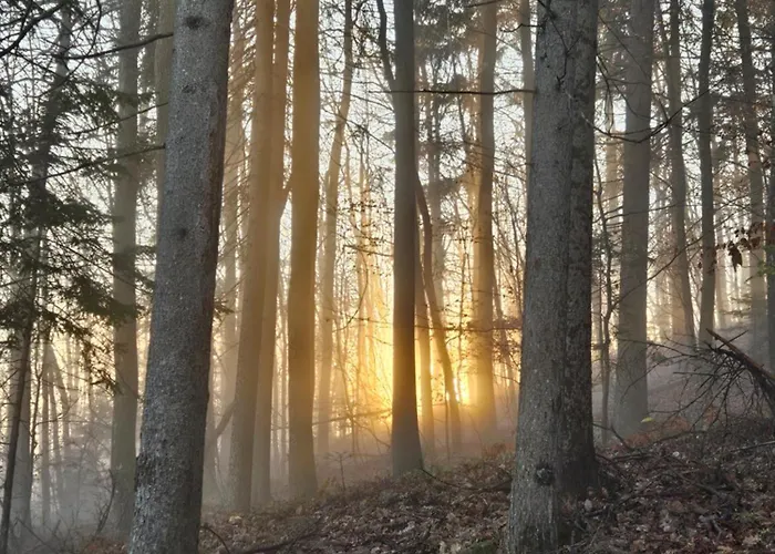Σπίτι διακοπών Turisticna Kmetija Okrslan